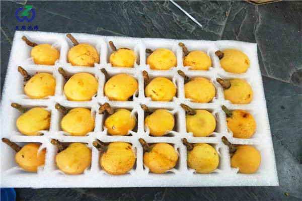 枇杷內(nèi)托的制作材料對(duì)人體有害嗎？