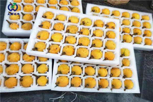 珍珠棉水果托定做，就找五周泡綿